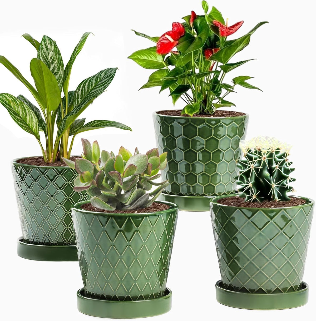 EFISPSS Flower Planter –5 inch Ceramic Plant Pots with Drainage Hole and Ceramic Tray - Gardening