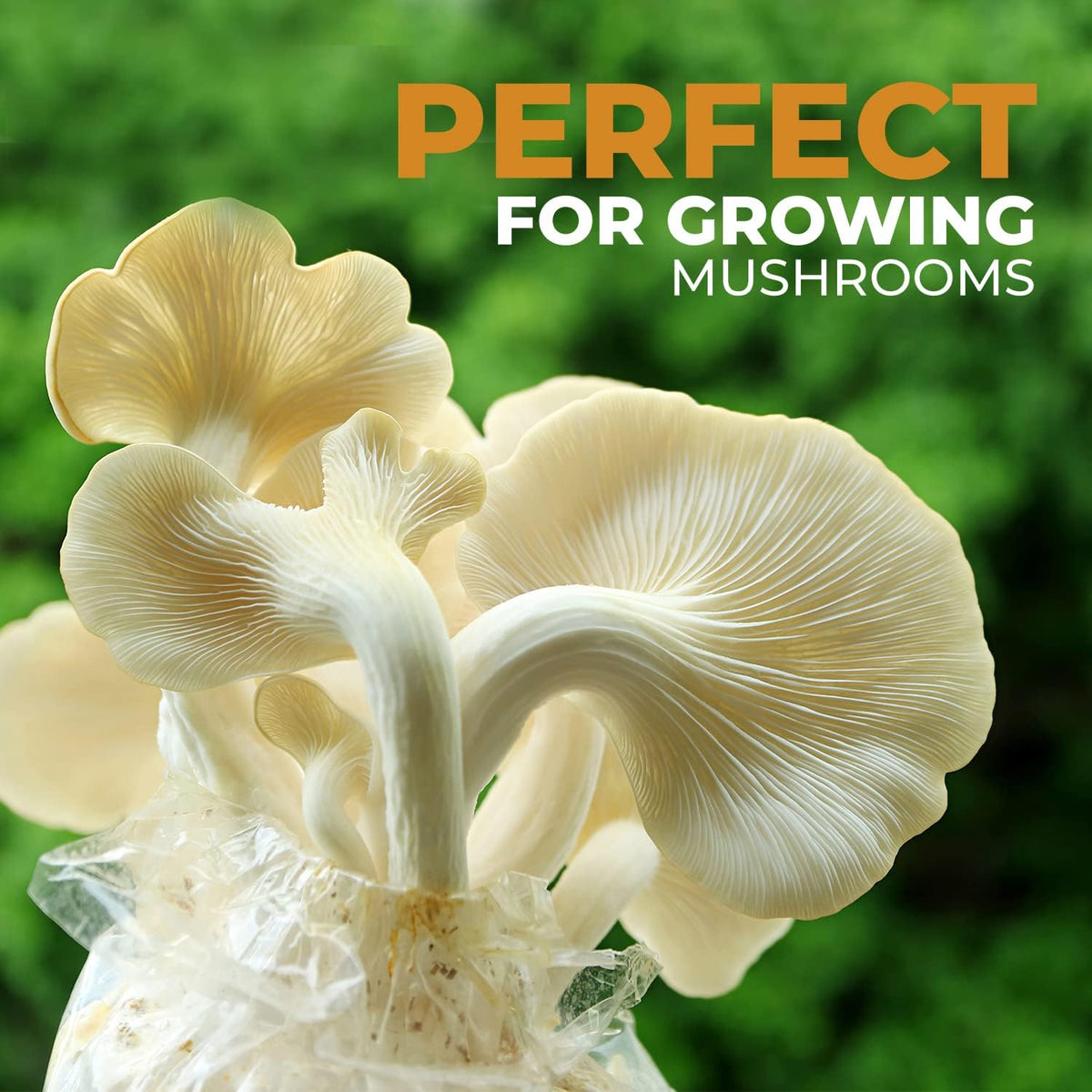 40 Pack, Mushroom Grow and Spawn Bags - Extra Thick Polypropylene Material, Tear Resistant - Size