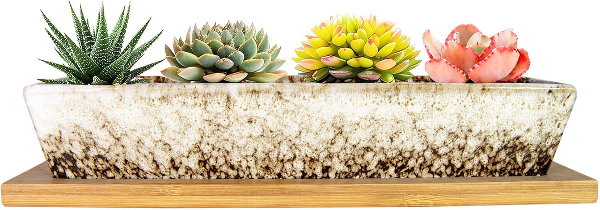 ARTKETTY Succulent Pots, 9.8 Inch Ceramic Succulent Planters with Drainage Small Bonsai Pot with