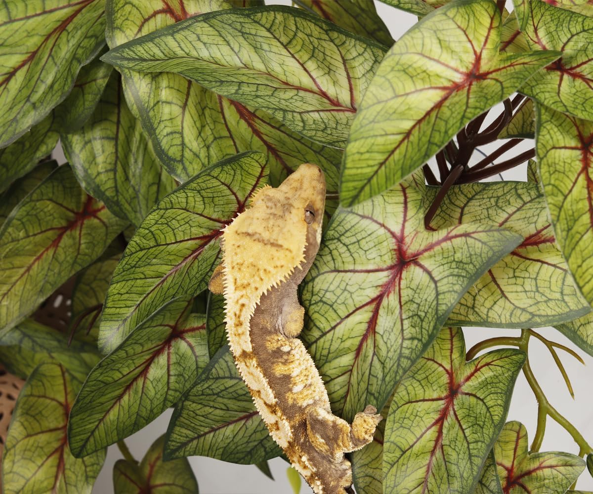 Reptile Plants for Terrarium, Amphibian Habitat Decor Artificial Hanging Plants with Suction Cup