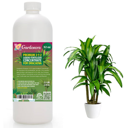 Premium Liquid Dracaena Plant Fertilizer - 3-1-2 Concentrate for Indoor Plants and Flowers by