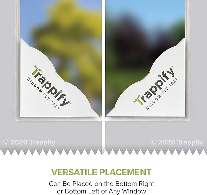 Trappify Fly Trap Indoor: Window Fly Traps for Home | Fruit Fly Traps for Indoors, Gnat Traps for