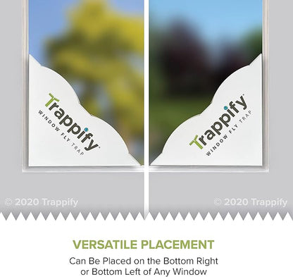 Trappify Fly Trap Indoor: Window Fly Traps for Home | Fruit Fly Traps for Indoors, Gnat Traps for