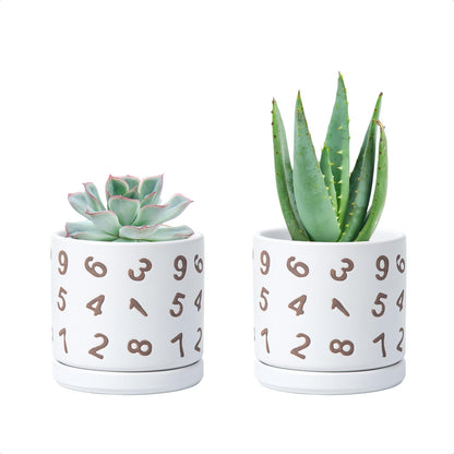 D'vine Dev Set of 2 Ceramic Planter Pots with Drainage Hole and Saucer, 4.5 Inch Plant Pots for