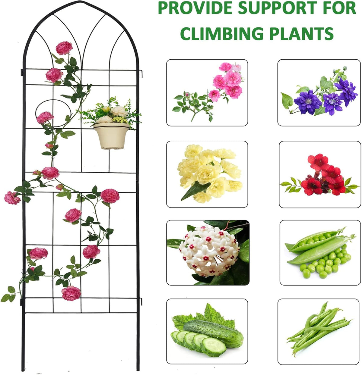4 Pack Metal Garden Trellis 78.7" H Garden Fence Rustproof Trellis for Climbing Plants Support