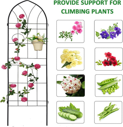 4 Pack Metal Garden Trellis 78.7" H Garden Fence Rustproof Trellis for Climbing Plants Support