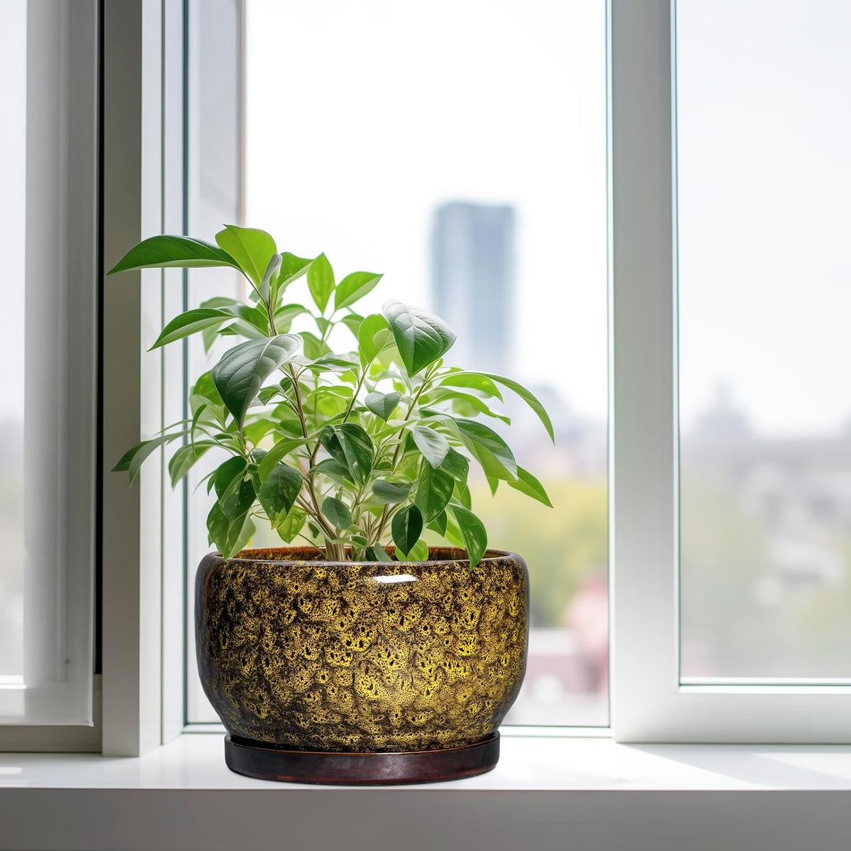 SQOWL 10 Inch Plant Pot - Ceramic Flower Pots with Drainage Hole and Saucer, Ceramic Planter for