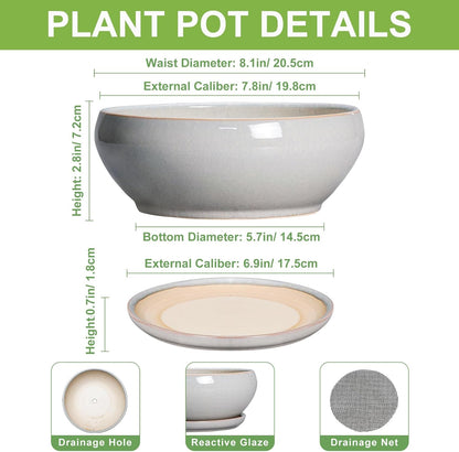 SQOWL Bonsai Tree Pots - 8 Inch Ceramic Plant Pots for Succulents, Shallow Planter with Drainage