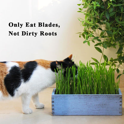 Wooden Cat Grass Planter (no Seeds Included) with Potting Soil Disks, Anti-Digging Grid and