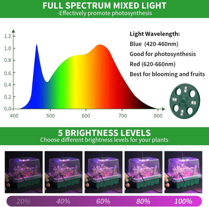 Seed Starter Tray with Plant Light, 4 Pack Grow Lights for Seed Starting Kit with Humidity Domes
