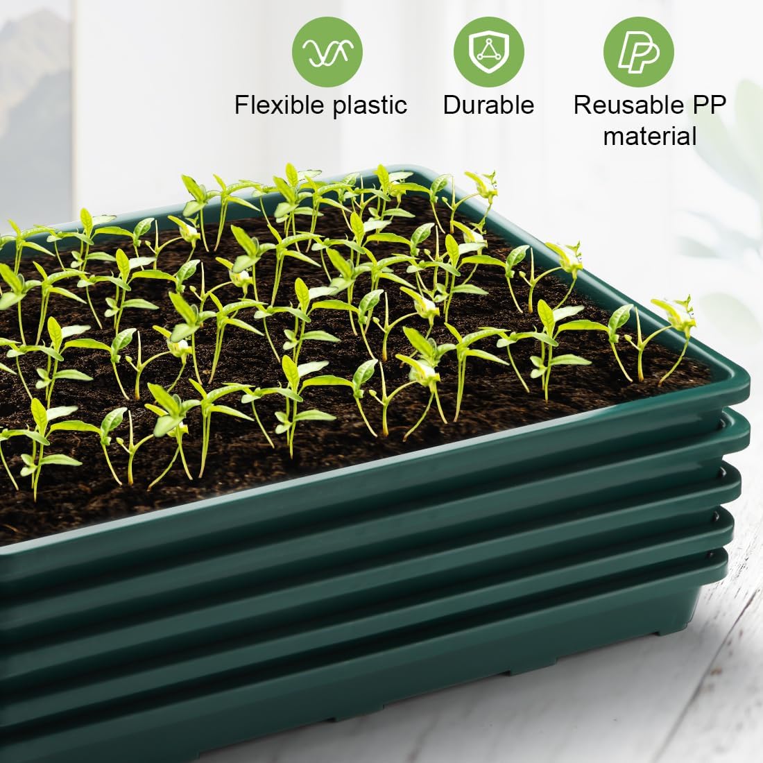 5 Pack Seed Starter Trays (17"x11"x2"), Plastic Flat Nursery Pots Trays, Durable Carrying Seedling
