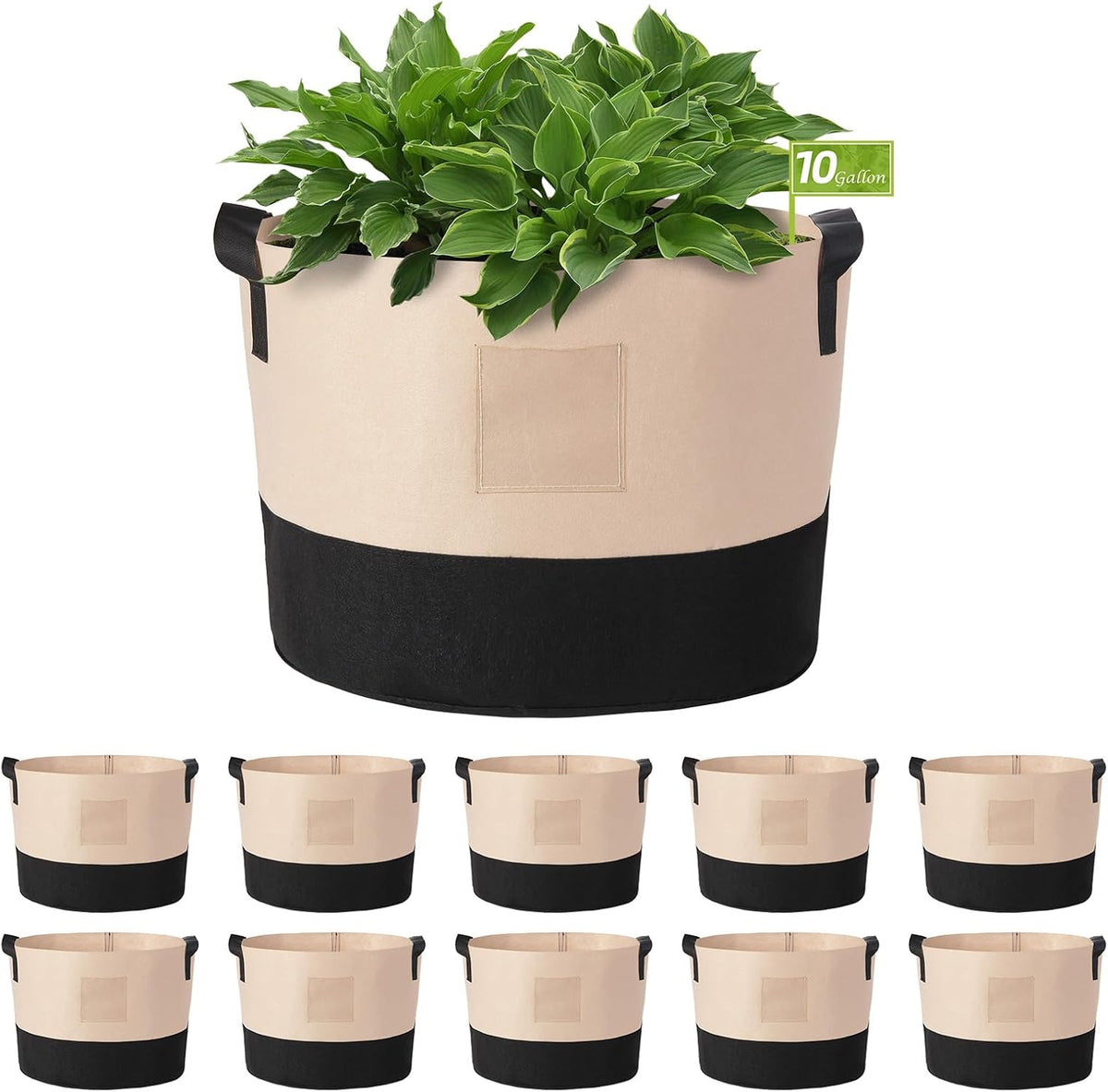 LITLANDSTAR 10 Gallon Fabric Grow Bags, 10 Pack Heavy Duty Thickened Nonwoven Plant Grow Bags with