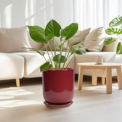 Ceramic Planter for Plants - 10 Inch Plant Pot Indoor with Drainage Hole and Saucer Modern Large