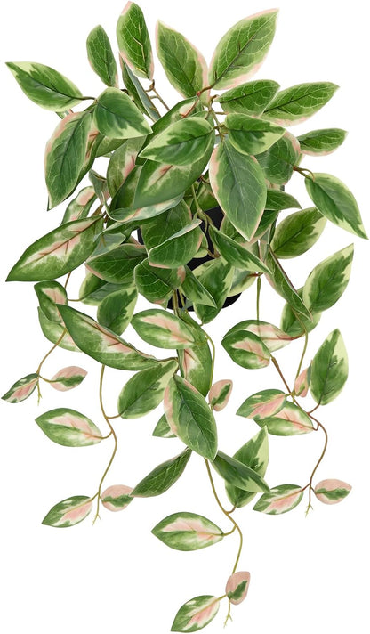 DILATATA Fake Plants Artificial Potted Plants 20 Inch Faux Peperomia Ivy Vine Plant Hanging Plant