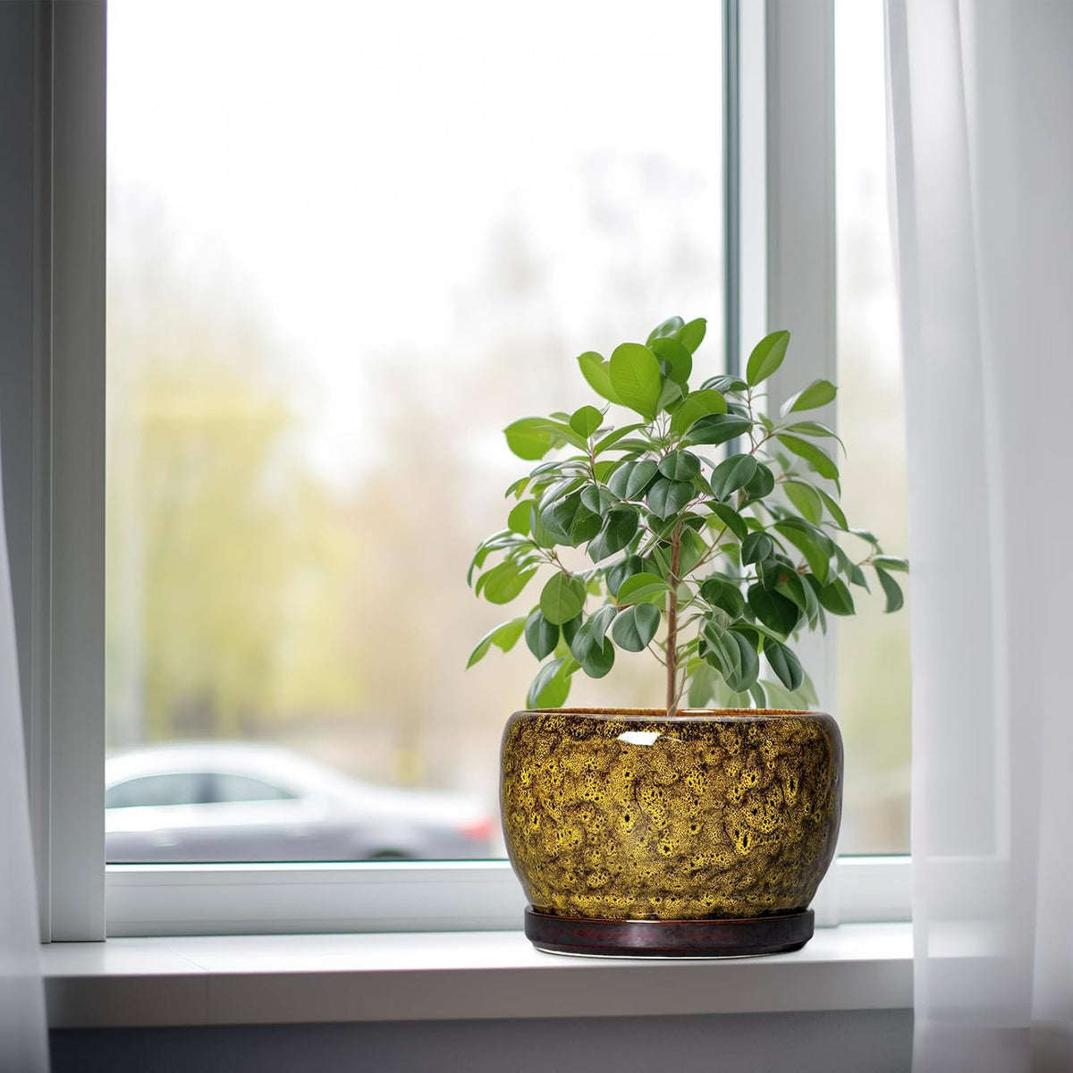 SQOWL Ceramic Flower Pots - 8 inch Ceramic Planter for Indoor Plants, Decorative Plant Pots with