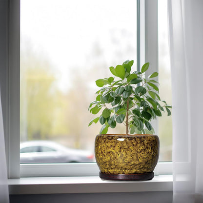 SQOWL Ceramic Flower Pots - 8 inch Ceramic Planter for Indoor Plants, Decorative Plant Pots with