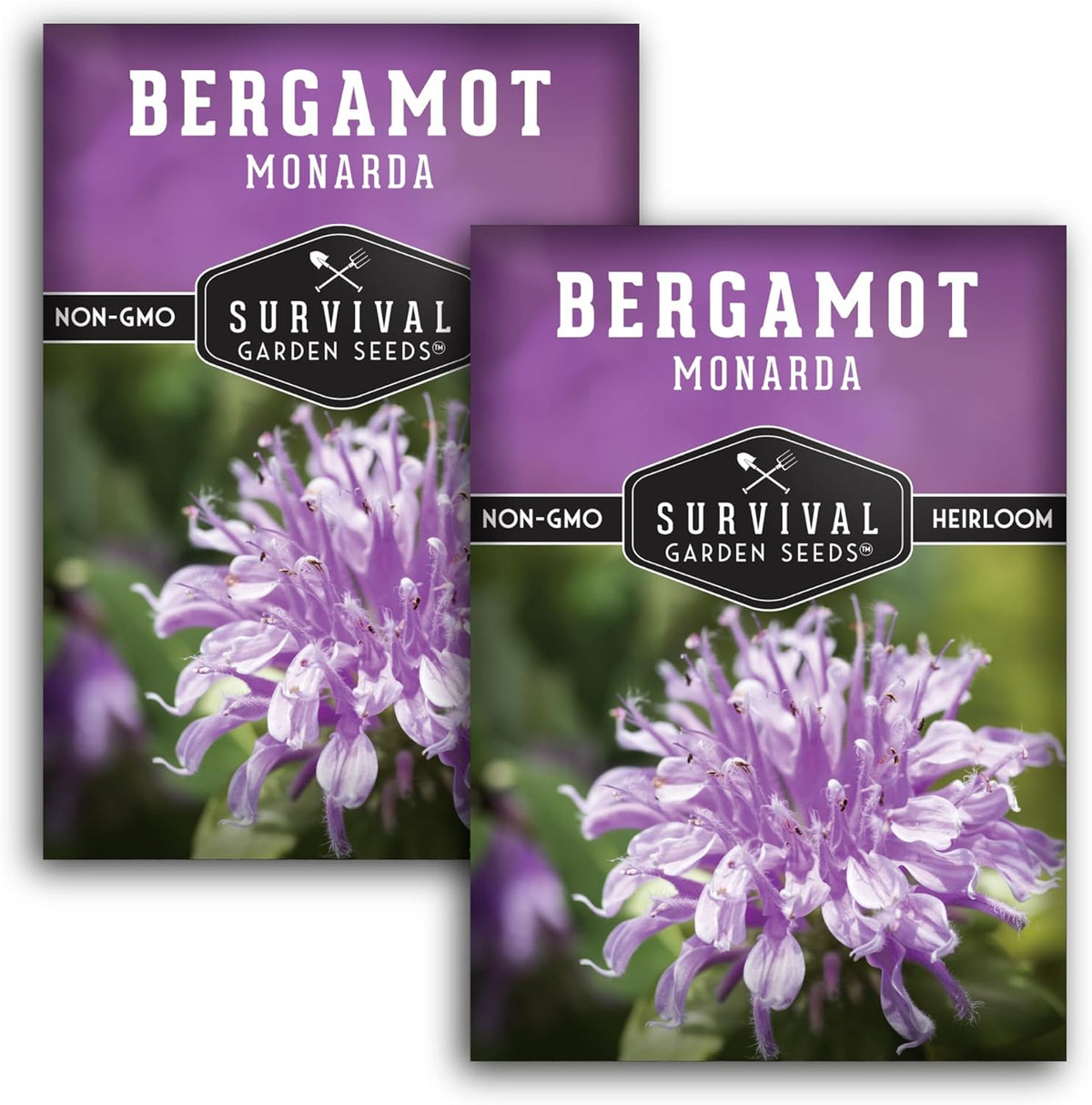 Survival Garden Seeds - Bergamot Herb (Bee Balm) Seed for Planting - 2 Packets with Instructions to