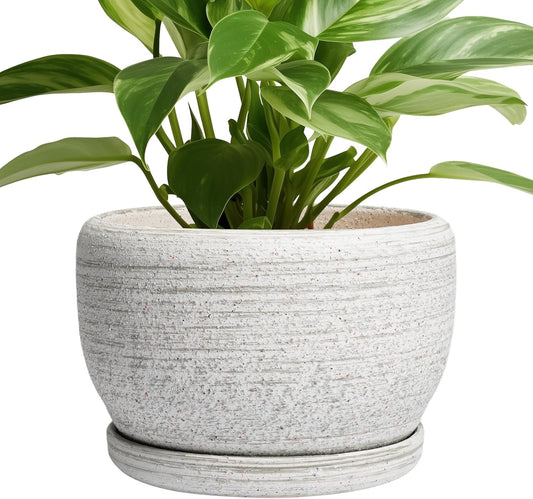 SQOWL Ceramic Plant Pots - 8 inch Planter for Indoor Plants, Round Flower Pot with Drainage Hole