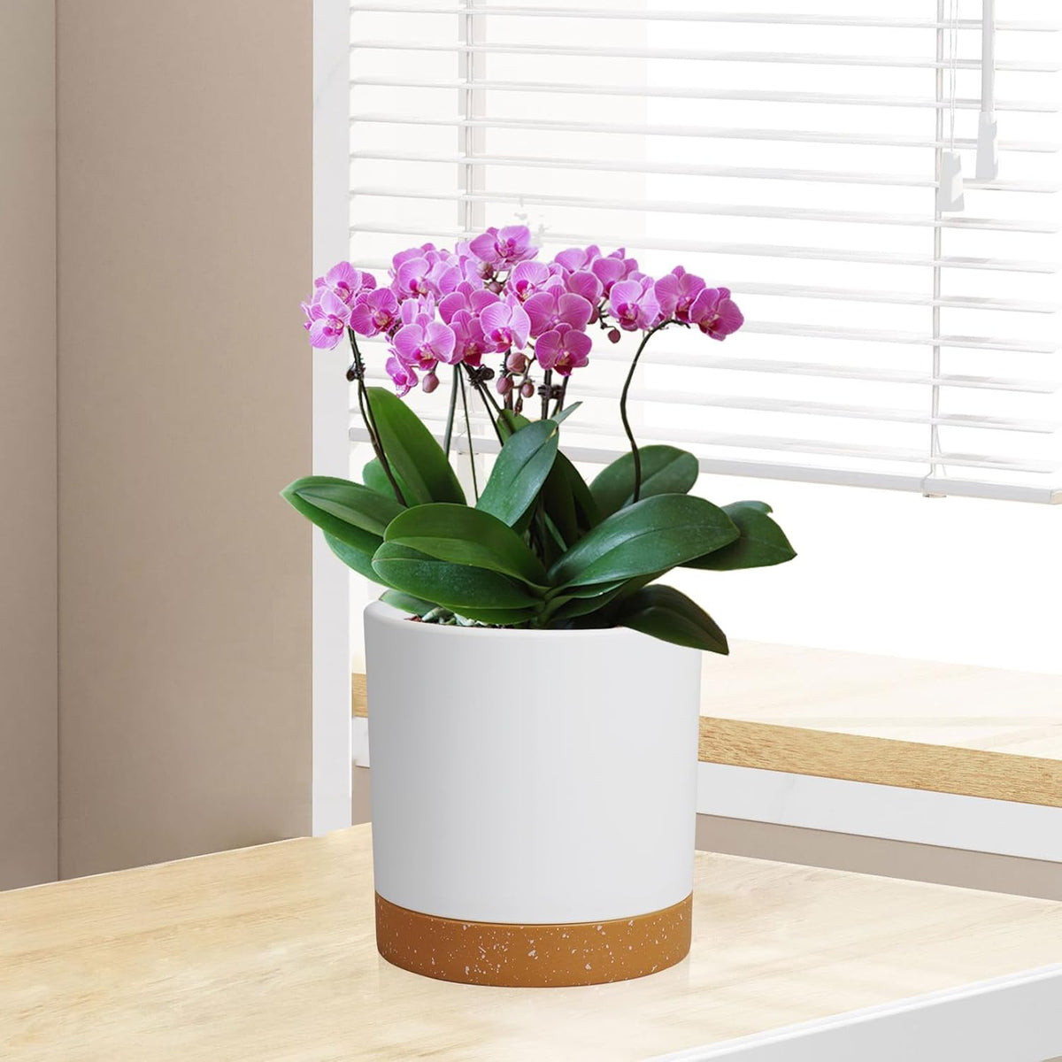 5 Pack Cylindrical Flower Pots with 7/6.5/6/5/4 inch, Modern Small Plastic Plant Pots with Drainage