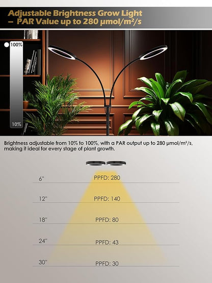 GLOWRIUM Grow Lights for Indoor Plants,Plant Light with 3/9/12/16H Grow Light Timer,2-Head 48W Full