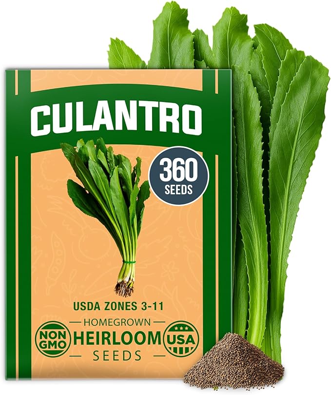 HOME GROWN 𝗨𝗦𝗔 𝗣𝗥𝗘𝗠𝗜𝗨𝗠 Culantro Seeds 360 Herb Seeds for Planting Non-GMO Heirloom