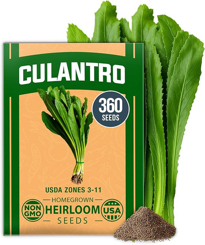 HOME GROWN 𝗨𝗦𝗔 𝗣𝗥𝗘𝗠𝗜𝗨𝗠 Culantro Seeds 360 Herb Seeds for Planting Non-GMO Heirloom