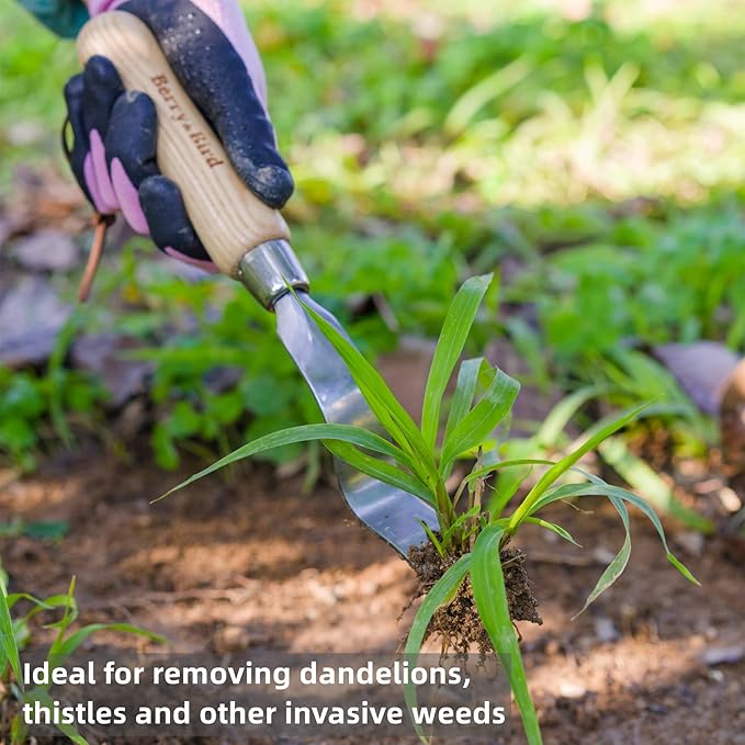 Berry&Bird Hand Weeder Tool, Stainless Steel Gardening Weed Puller, 12.1" Manual Weeding Removal
