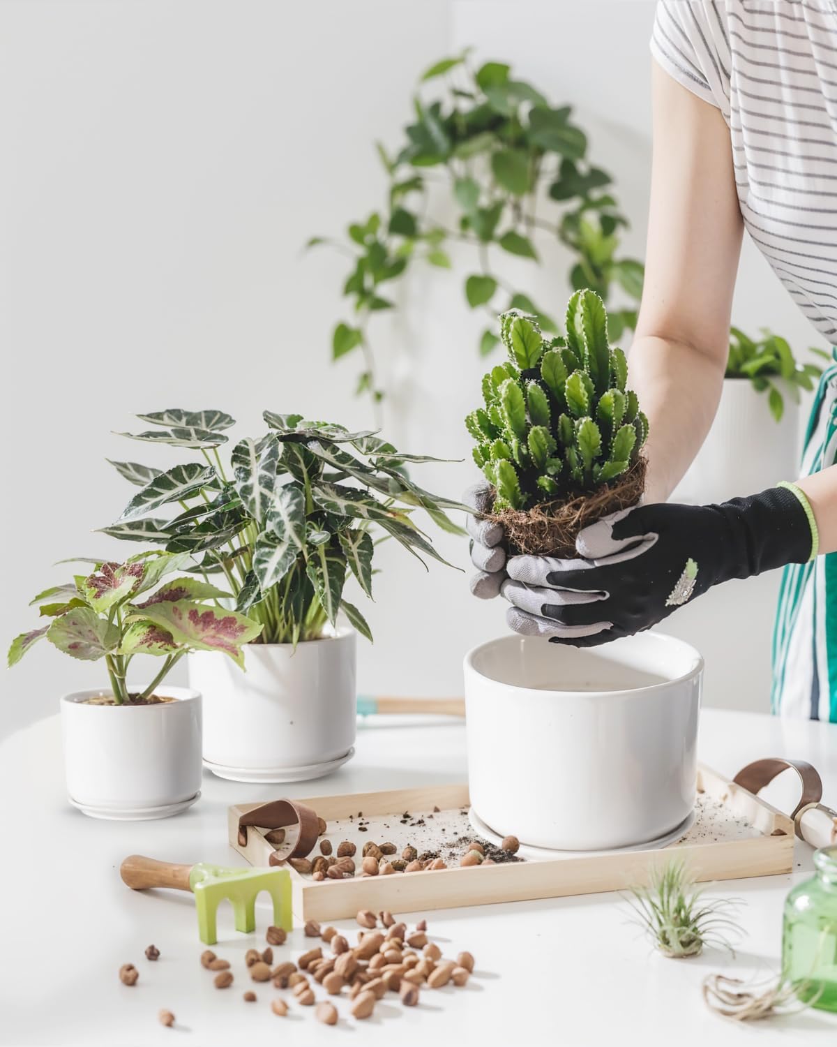 EFISPSS Plant Pots, 4+5+6 Inch Pots for Indoor Plants, Ceramic Planter Pot with Drainage Hole