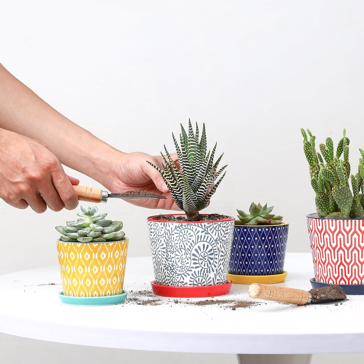 Selamica Ceramic Succulent Pots, 4.3 Inch Small Plant Pots with Drainage Holes and Saucers, Small