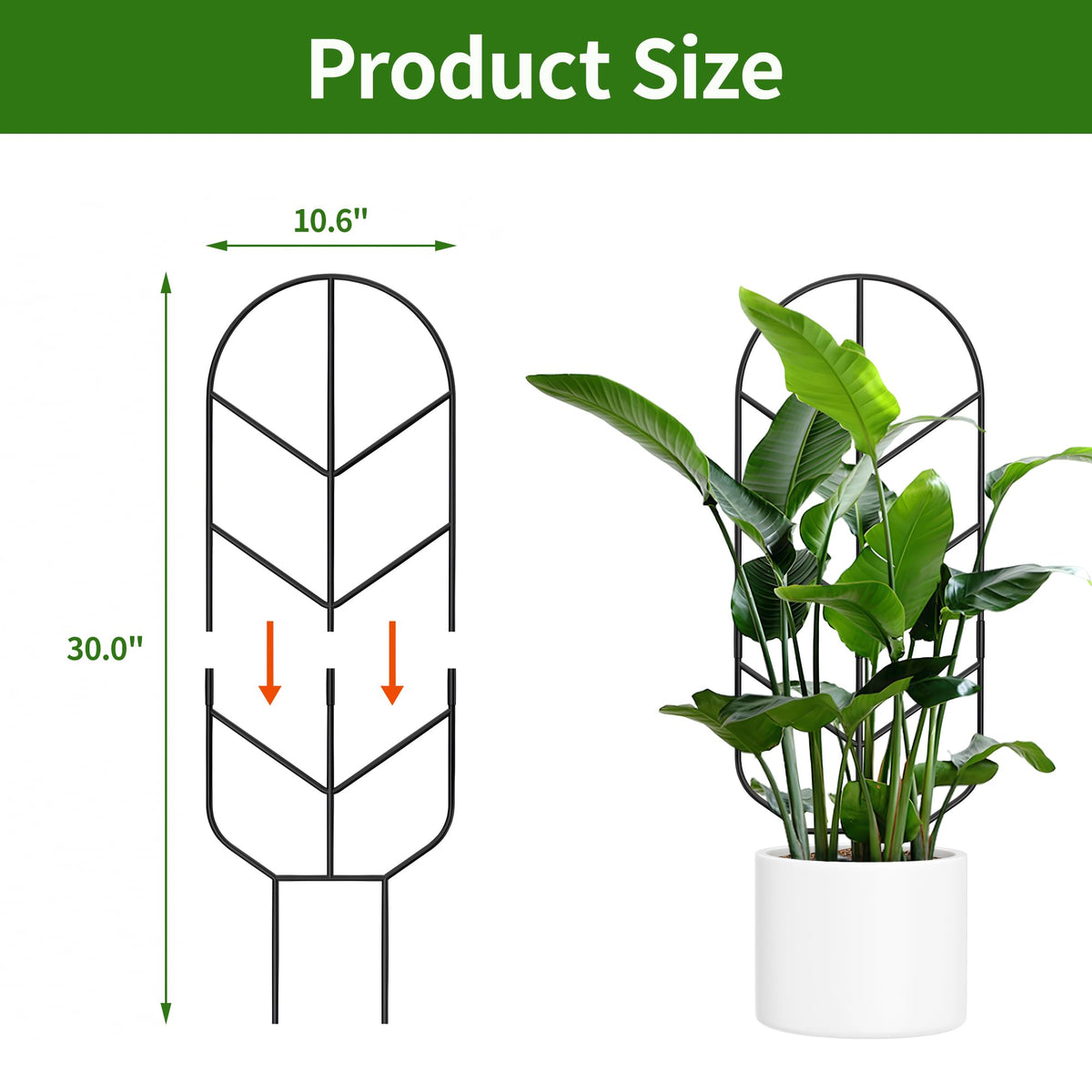 2 Pack 30'' Large Metal Plant Trellis for Climbing Plants, Tall Plant Support for Indoor & Outdoor