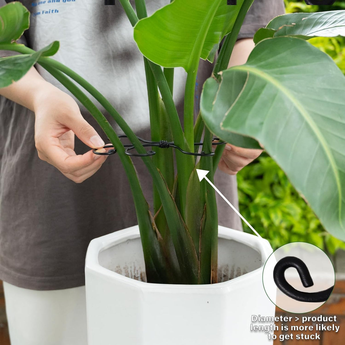 Black Monstera Plant Support Hook - 6.5 * 6.5IN -5 Piece Set, Durable Metal Stem Supports for
