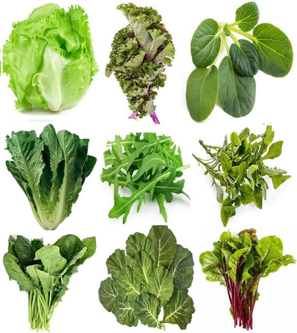 Greens Seeds Collection, 2500+ Seeds, 9 Heirloom Varieties, Arugula, Beet, Upland Cress, Vates