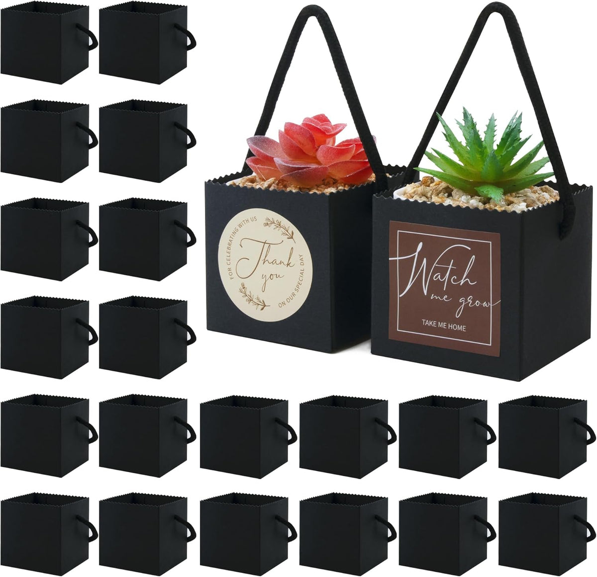 Temlum 2.5 Inch Succulent Wrap Bags (Fits 2.5″ Pots) with Thank You & Watch Me Grow Stickers, Small