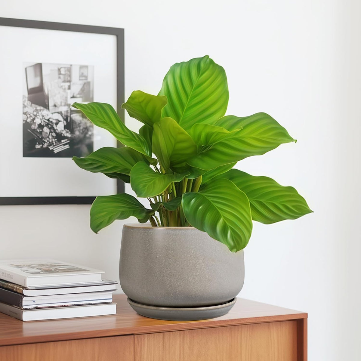 G EPGardening Ceramic Pots for Plants 7 Inch - Large Ceramic Planters for Indoor Plants Outdoor