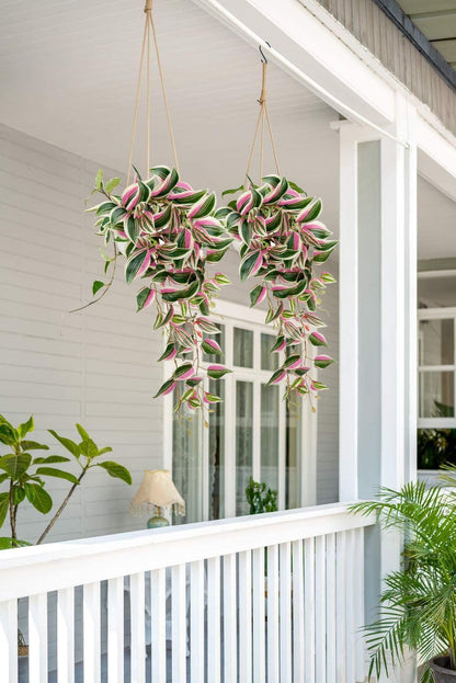 DILATATA Fake Hanging Plants Artificial Hanging Plants 26" Faux Wandering Jew Hanging Leaves Plants