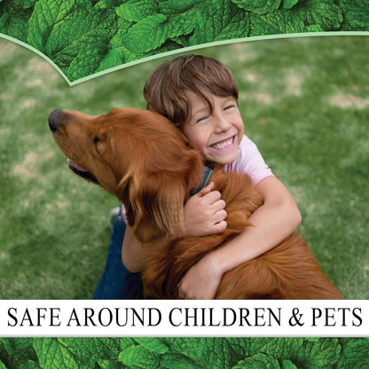 Puremint Spider Repellent, Natural 5% Peppermint Oil Spray, Kills & Deters All Types of Spiders and