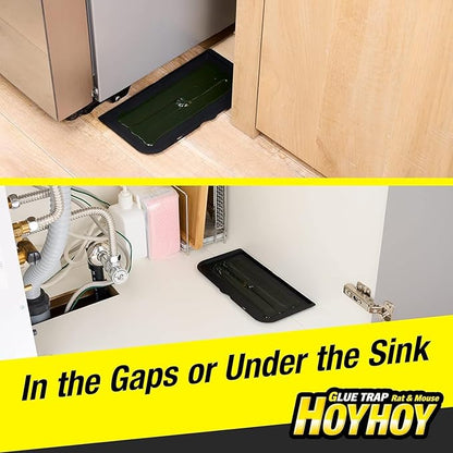 HOY HOY Regular Size Rat & Mouse Indoor/Outdoor Glue Trap (4 Pack)
