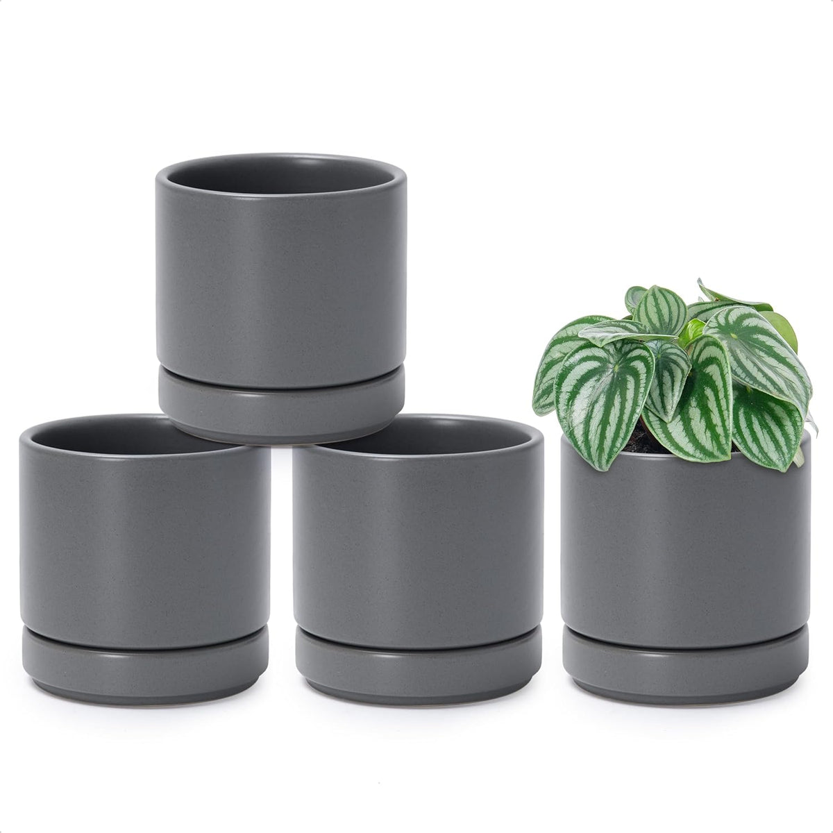 D'vine Dev Set of 4 Small Ceramic Plant Pots, 4.7 Inch Succulent Planter Pot for Plants with