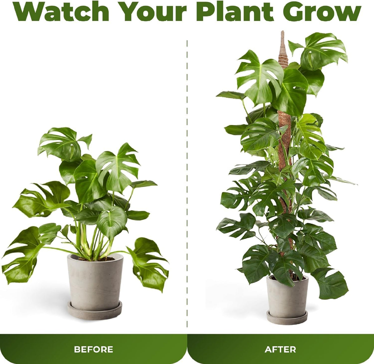 2 Pack 63 Inch Bendable Moss Pole Monstera Plant Support Stakes for Indoor Plants - Tall Moss Stick