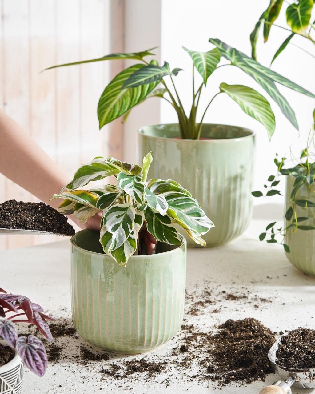 LE TAUCI Fluted Ceramic Planters Set of 3 – 8.3/7 / 5.7 in Sage Green Reactive Cylinder Indoor