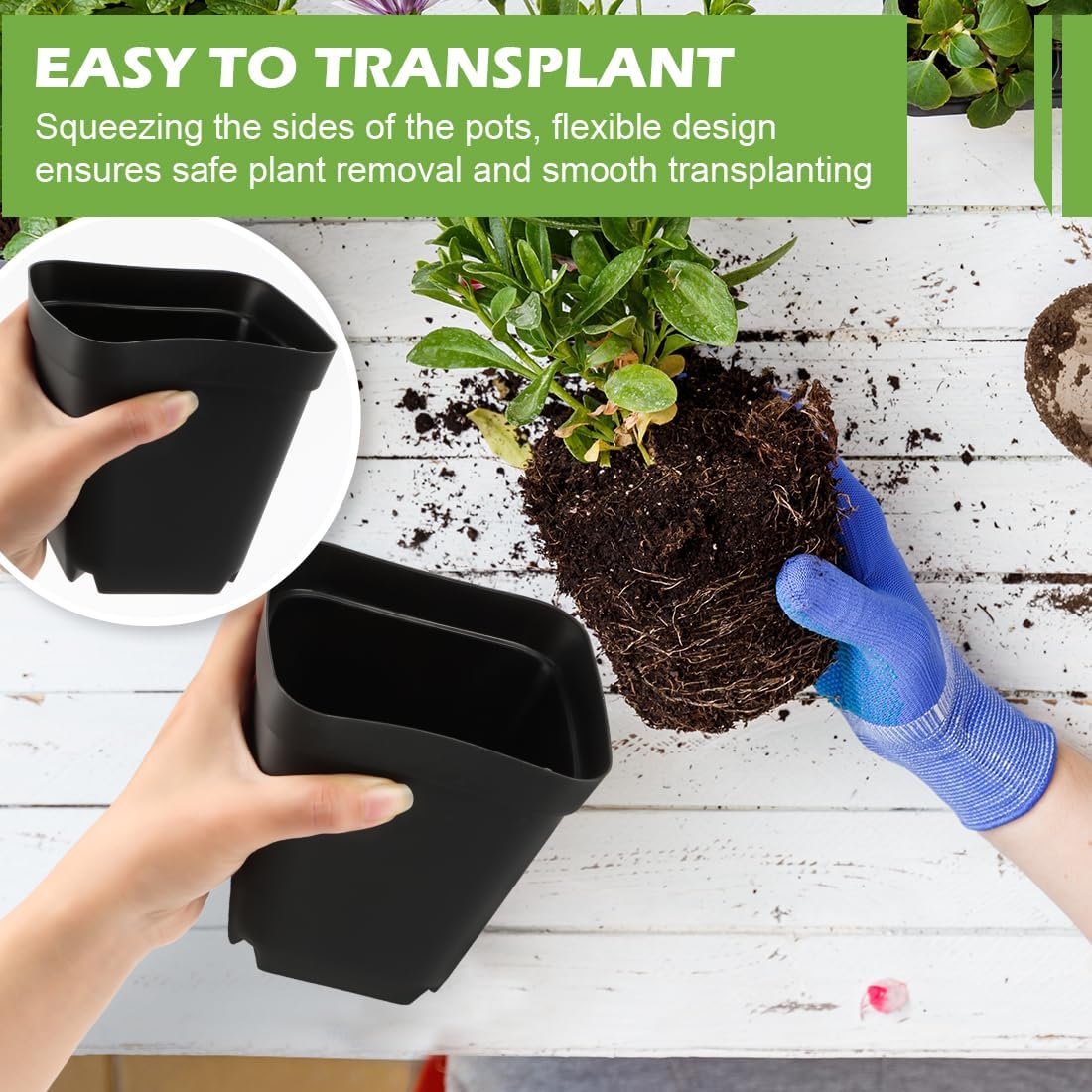 Square Nursery pots 4 Inches 60Pcs, Seedling Plastic Seeds propogation Growing Pots