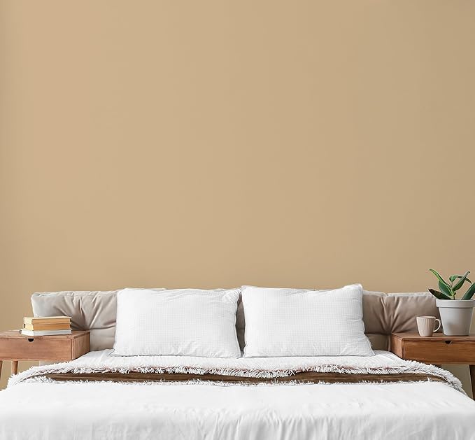 EVOLVE Paint & Primer: Environment-friendly, Low Sheen with One-coat Coverage for Interior &