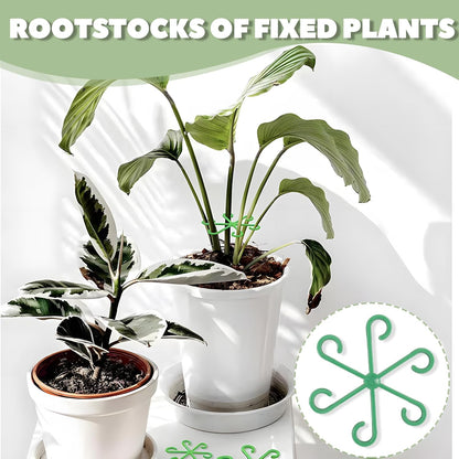 Monstera Plant Support, 16Pcs Plant Stem Support for Indoor Plants - Heavy Sturdy Climbing Plant