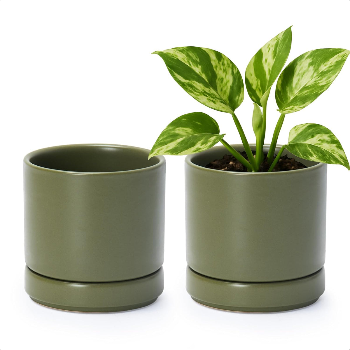 D'vine Dev Set of 2 Plants Pots, 4.7 Inch Ceramic Planter Pot for Plants with Drainage Hole and