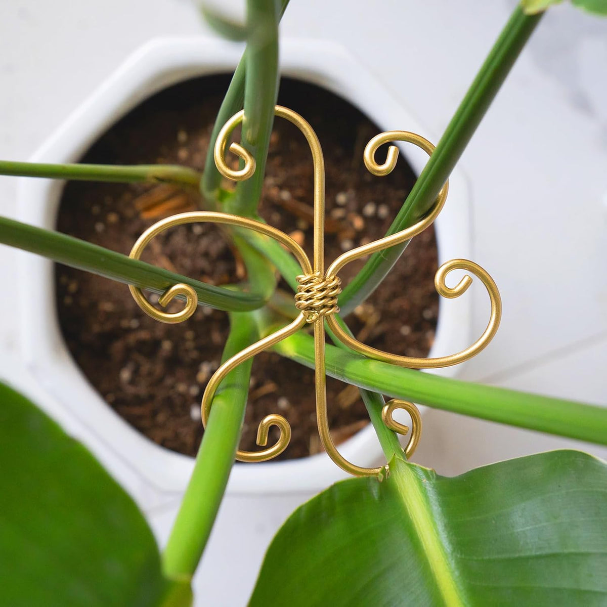5PCS Monstera Plant Support System 4.1IN - Durable Hook Stem Supports for Healthy Growth