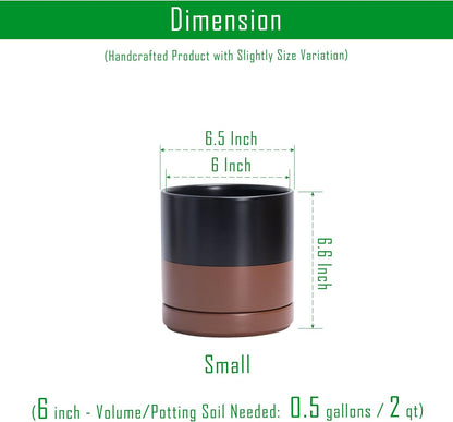 D'vine Dev 6.5 Inch Ceramic Planter Pot with Drainage Hole and Saucer, Indoor Cylinder Round