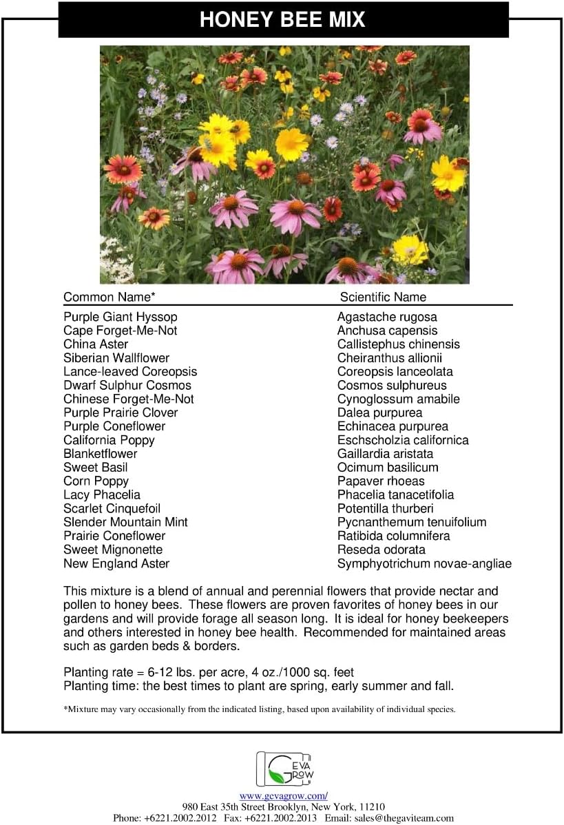 Bulk Wildflower Seed Mix – Honey Bee Wildflower Seed Mix 1 Pound Tub by GevaGrow | Bulk 300,000+