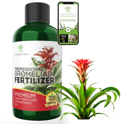 Professional Liquid Bromeliad Plant Fertilizer | 3-1-2 Concentrate for Plants and Flowers |