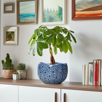 Ceramic Pots for Plants - 8 Inch Round Planter with Drainage Hole, Round Decorative Plant Pots for