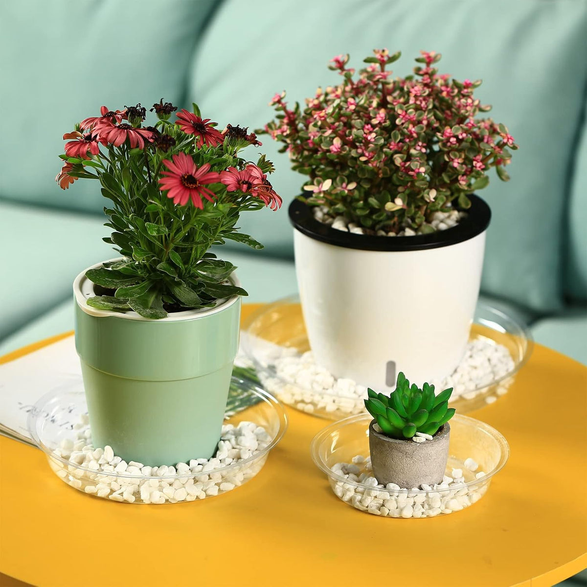 30 Packs 4 Inches Small Clear Plant Saucers for Indoor Outdoor Use Heavy Duty Plastic Plant Trays